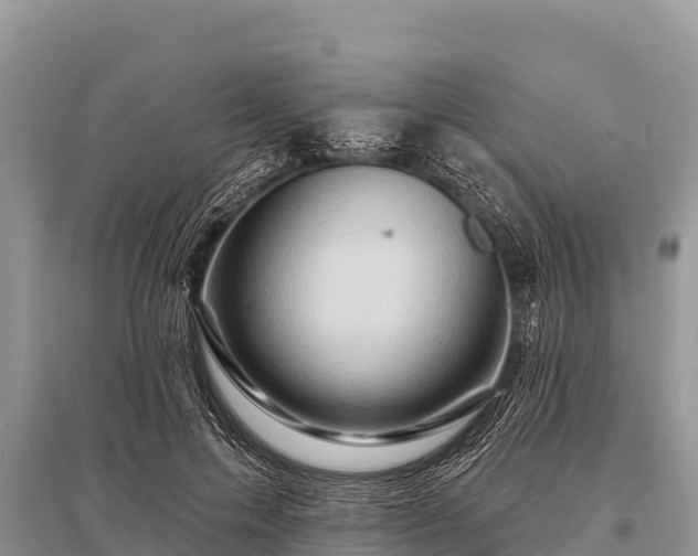 X0000096190599200801251242