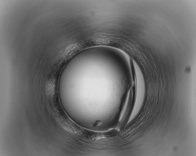 X0000096190600200801251242