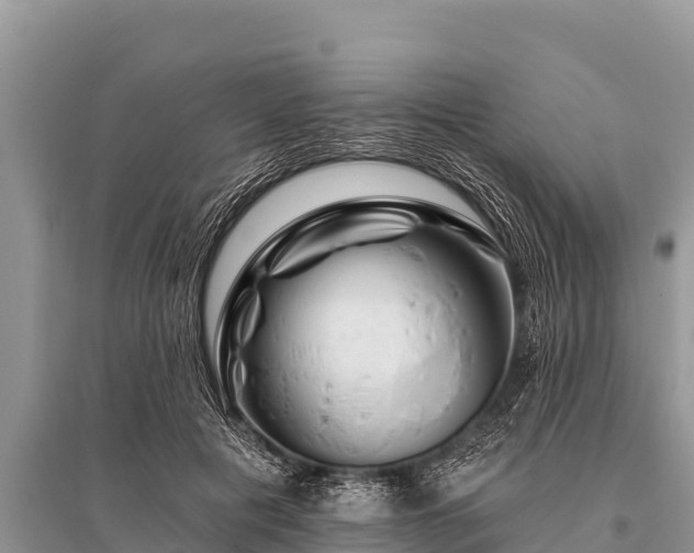 X0000096190601200801251242