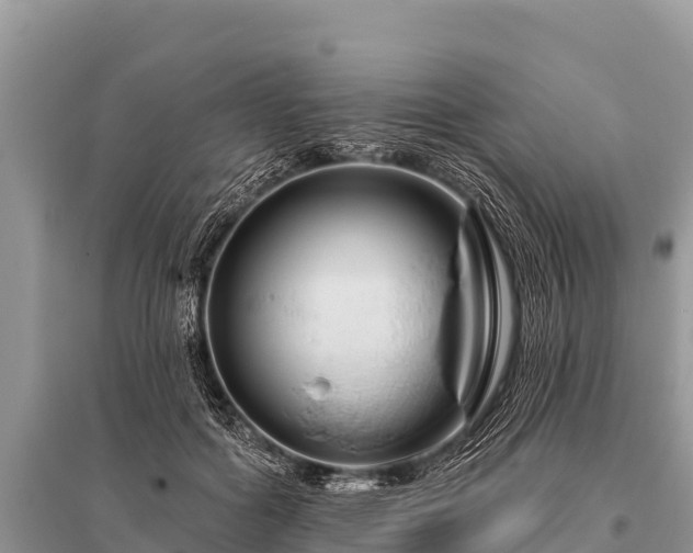 X0000096190602200801251242