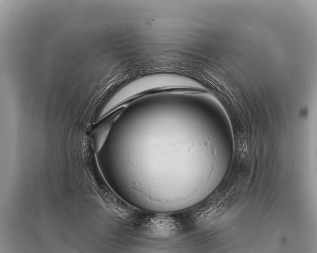 X0000096190603200801251242