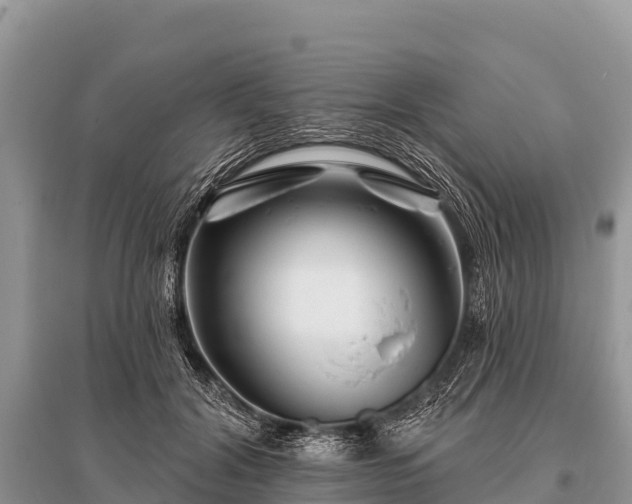 X0000096190604200801251242