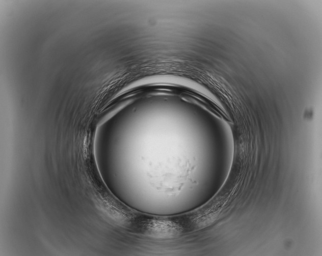X0000096190605200801251242
