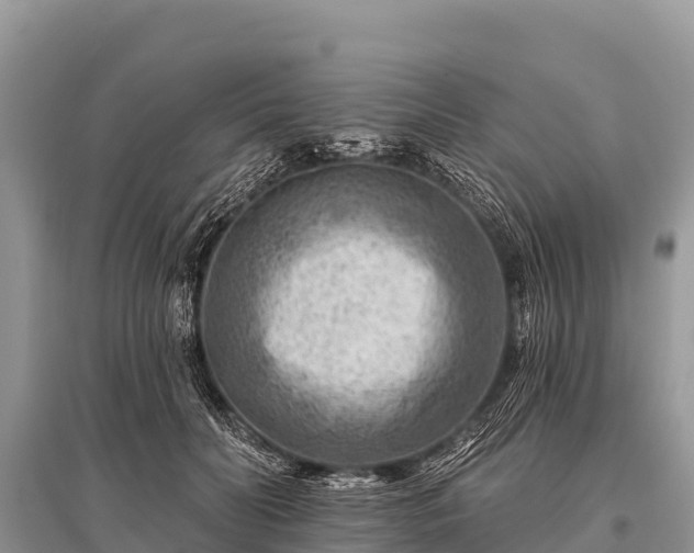 X0000096190606200801251242