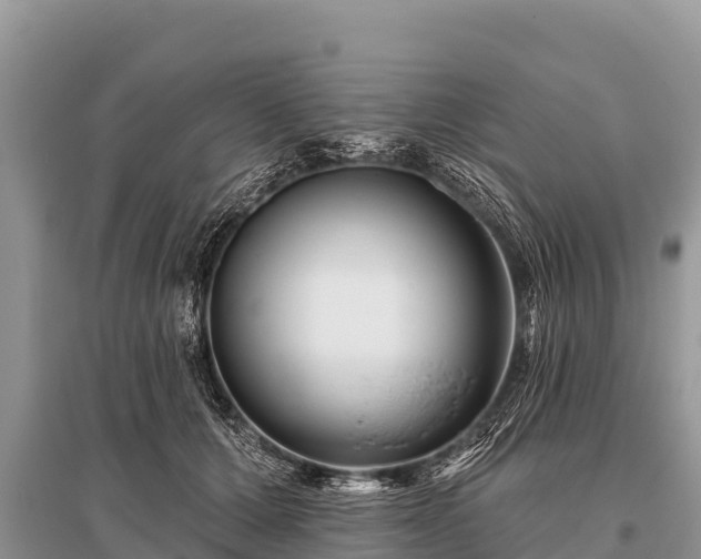X0000096190607200801251242