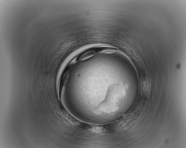 X0000096190609200801251242