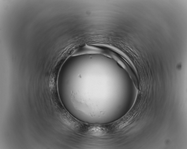 X0000096190611200801251242