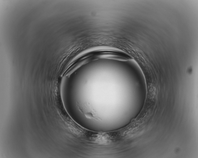 X0000096190612200801251242