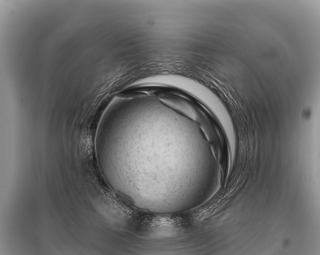 X0000096190613200801251242