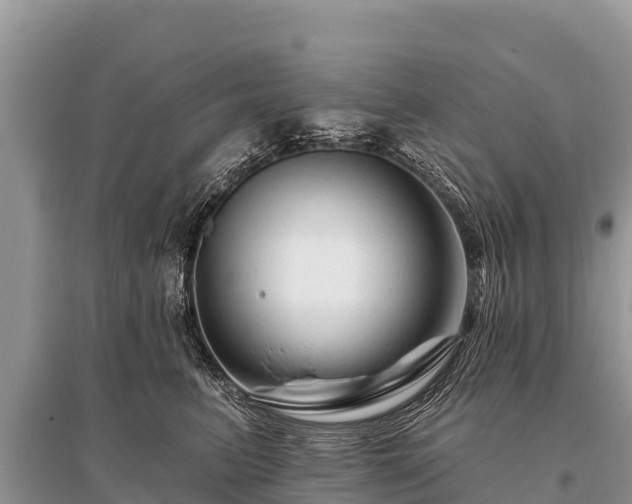 X0000096190615200801251242