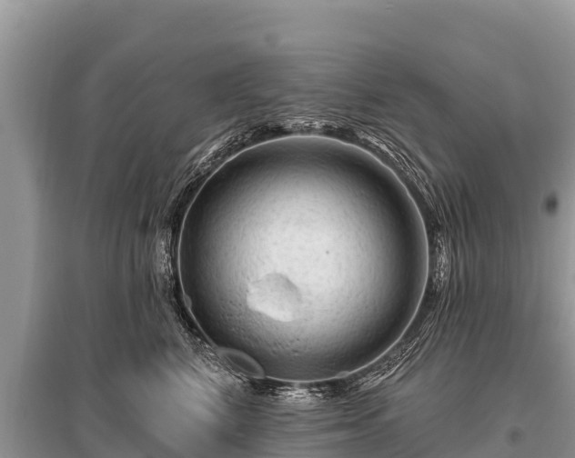 X0000096190616200801251242