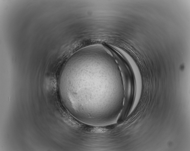 X0000096190617200801251242