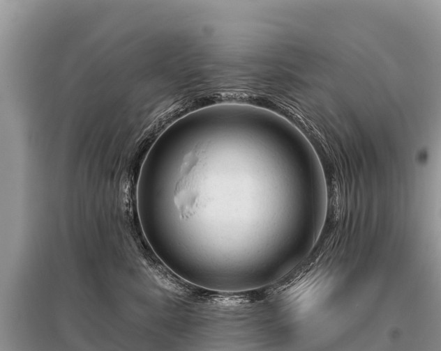 X0000096190619200801251242