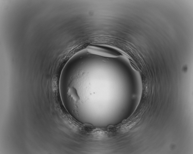 X0000096190620200801251242