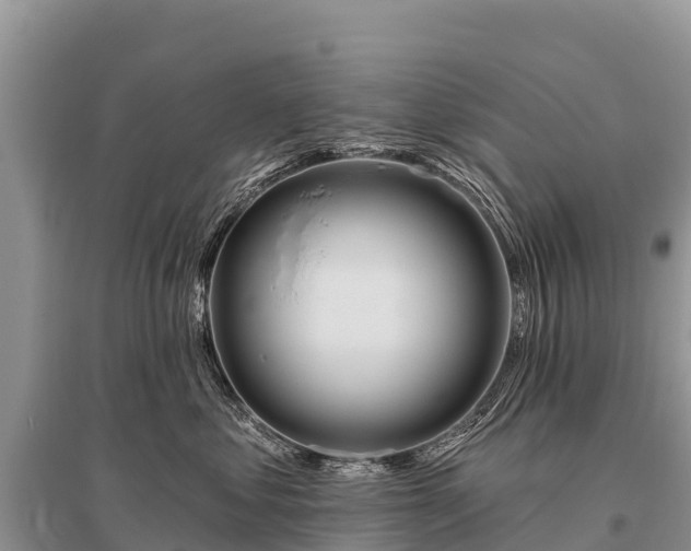 X0000096190621200801251242