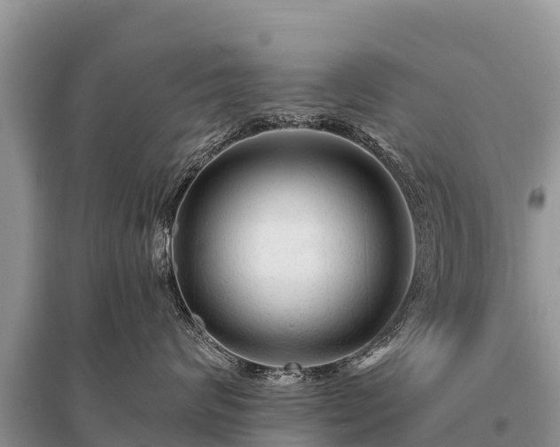 X0000096190624200801251241