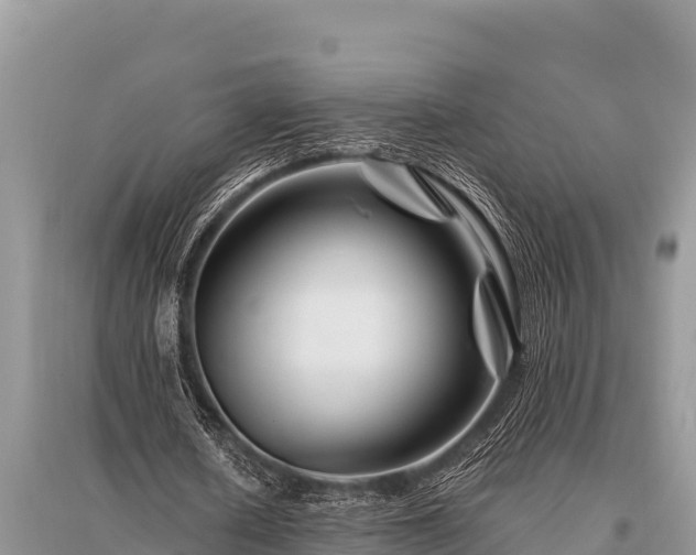 X0000096190626200801251241