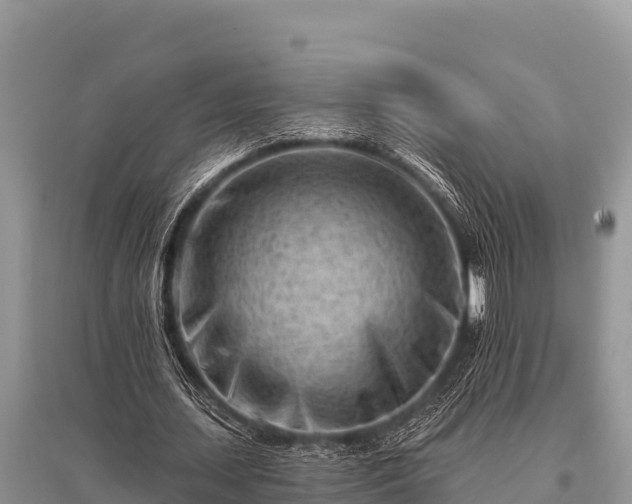 X0000096190627200801251241