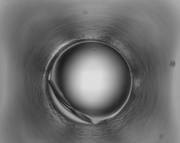 X0000096190628200801251241