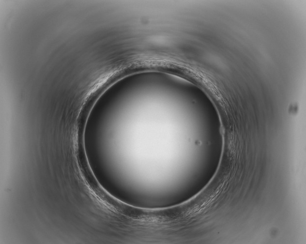 X0000096190629200801251241