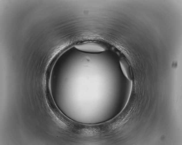 X0000096190630200801251241