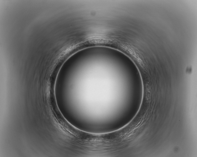 X0000096190631200801251241
