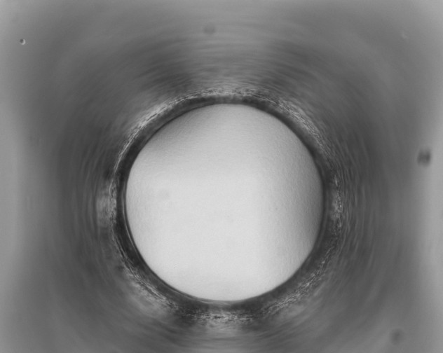 X0000096190632200801251241