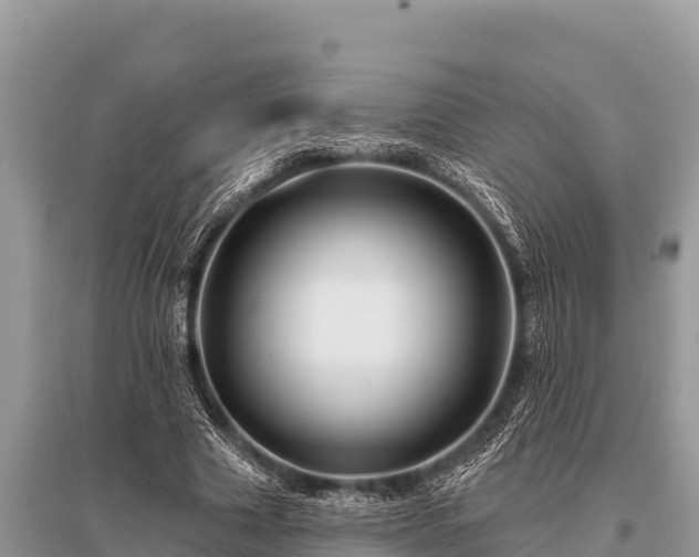 X0000096190633200801251241