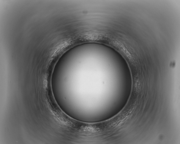 X0000096190635200801251241