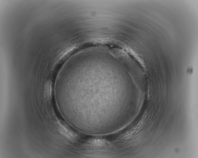 X0000096190637200801251241