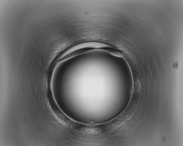 X0000096190638200801251241