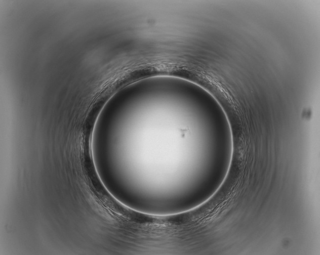 X0000096190639200801251241