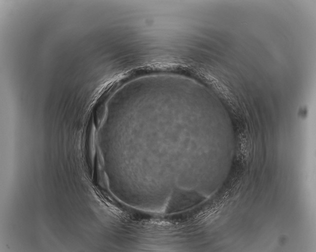 X0000096190640200801251241