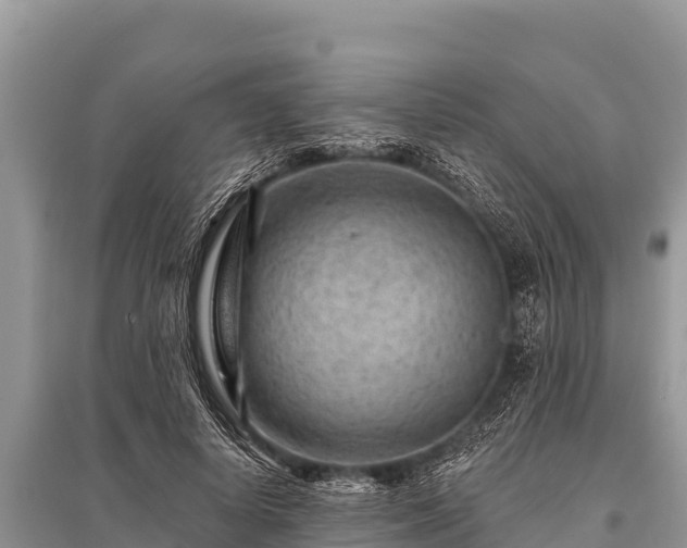 X0000096190642200801251241