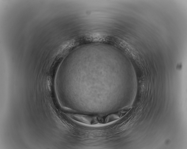 X0000096190643200801251241