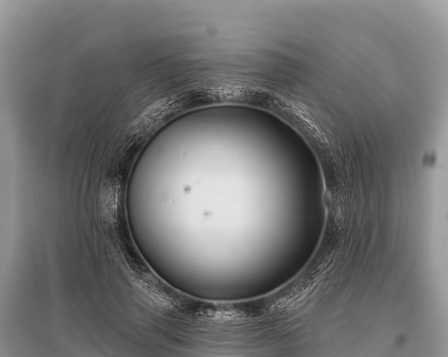 X0000096190645200801251241