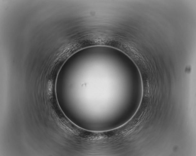 X0000096190646200801251241