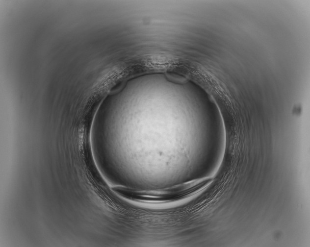 X0000096190647200801251241