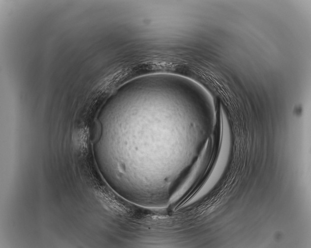 X0000096190649200801251241