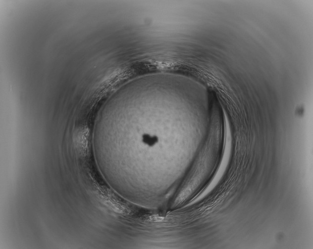 X0000096190650200801251241