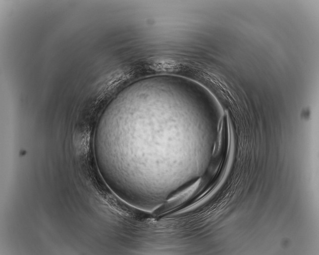 X0000096190652200801251241