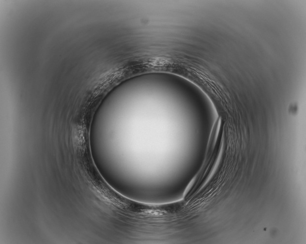 X0000096190654200801251241