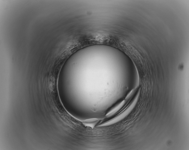 X0000096190656200801251241