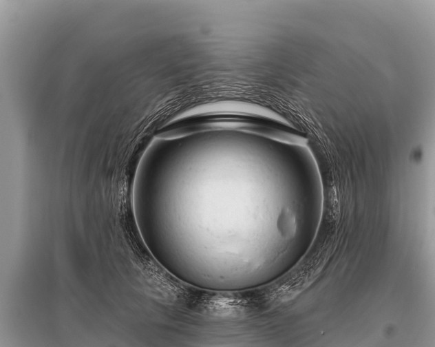 X0000096190657200801251241