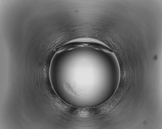 X0000096190658200801251241