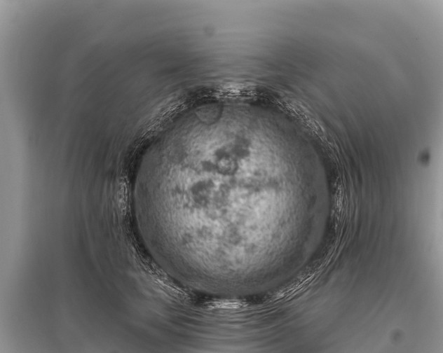 X0000096190659200801251241