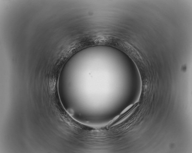 X0000096190660200801251241