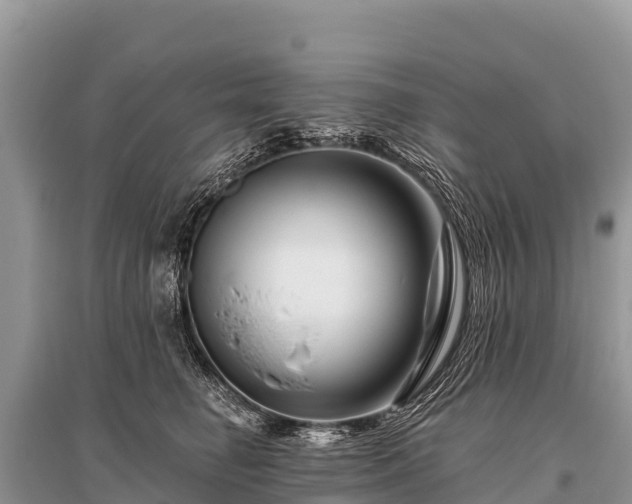 X0000096190662200801251241