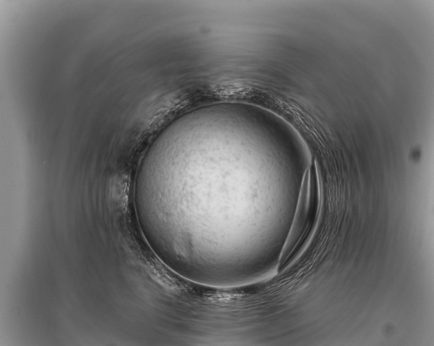 X0000096190664200801251241