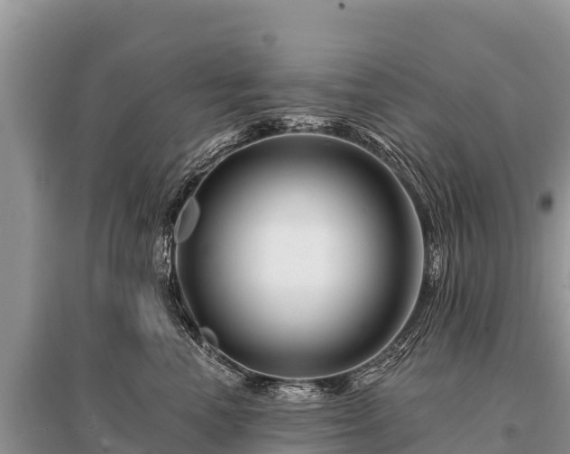 X0000096190666200801251241